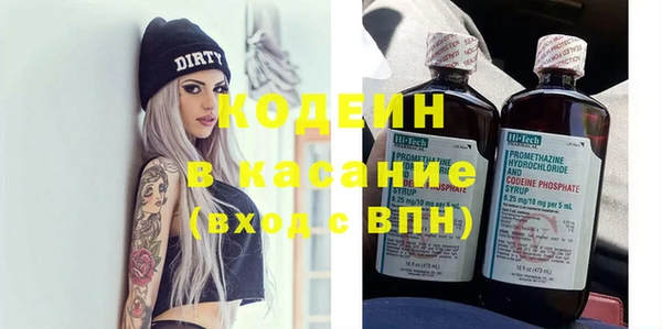 гидра Кодинск