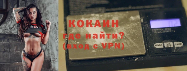 гидра Кодинск