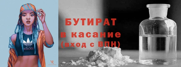 гидра Кодинск