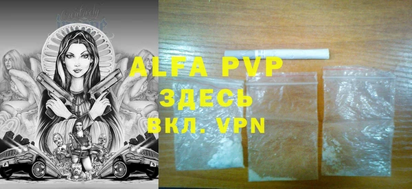 гидра Кодинск