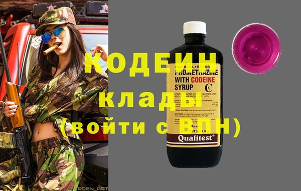 гидра Кодинск