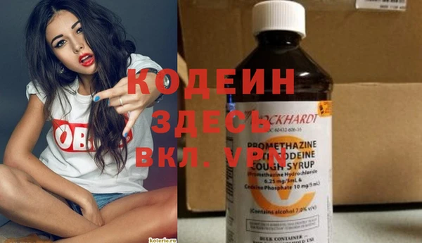 гидра Кодинск