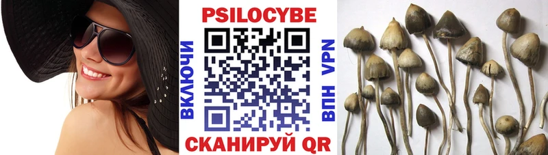 Галлюциногенные грибы MAGIC MUSHROOMS  omg ССЫЛКА  Щучье  где купить  